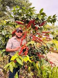 SINGLE ORIGIN NICARAGUA Bag of Whole Coffee Beans Blend Managua 8 oz